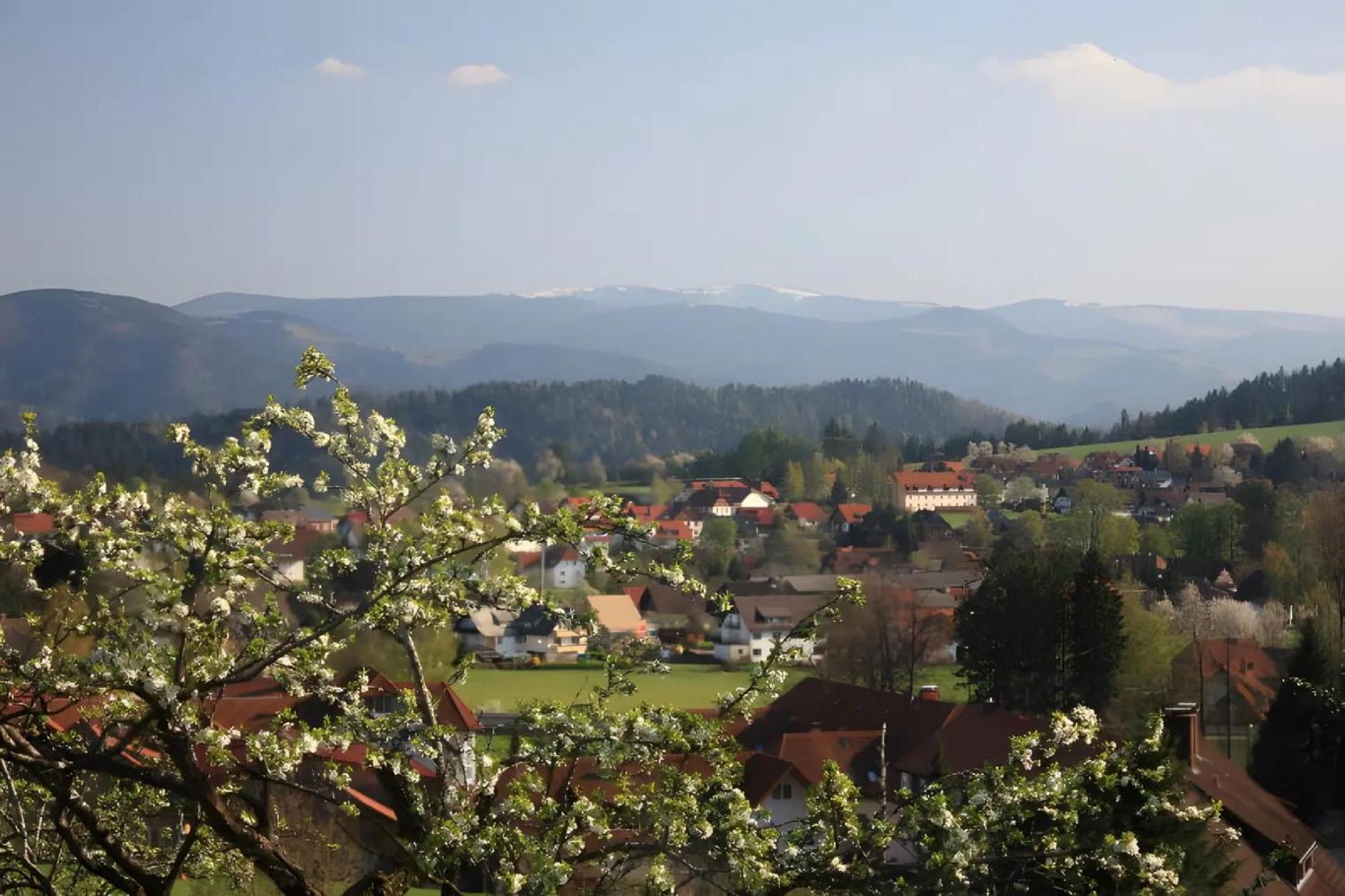 Appartamento Ferien Auf Dem Steingrubenhof Sankt Peter Esterno foto